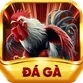 đá gà j88