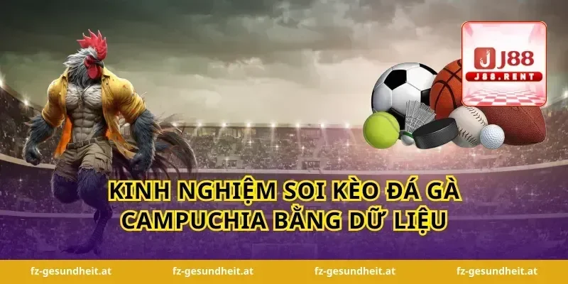 Kinh nghiệm soi kèo đá gà campuchia bằng dữ liệu