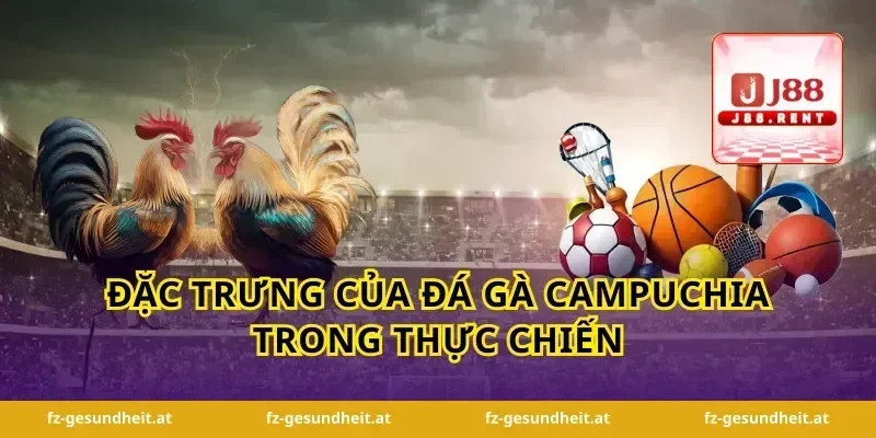 Đặc trưng của đá gà campuchia trong thực chiến