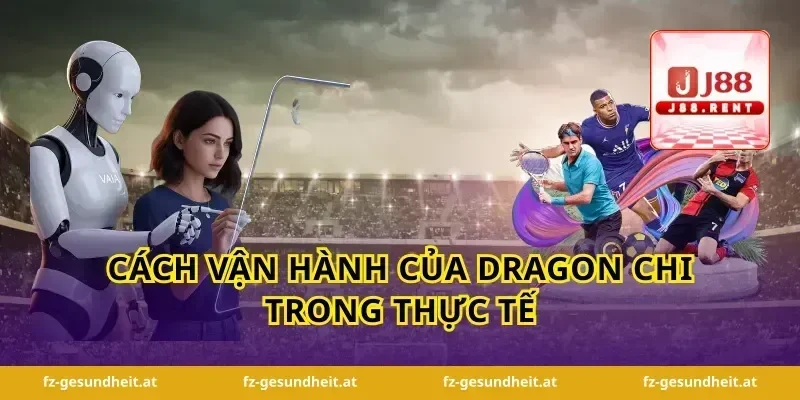 Cách vận hành của dragon chi trong thực tế