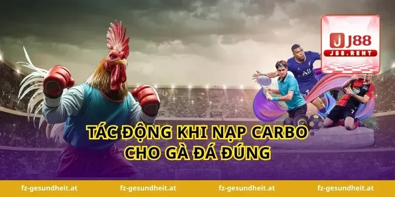 Tác động khi nạp carbo cho gà đá đúng