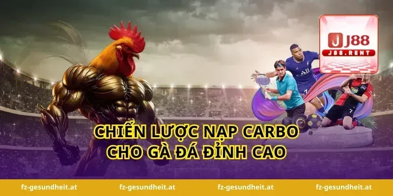Chiến lược nạp carbo cho gà đá đỉnh cao